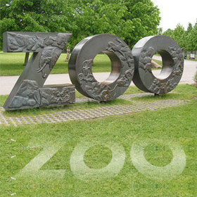 Reklama zoo w stopce